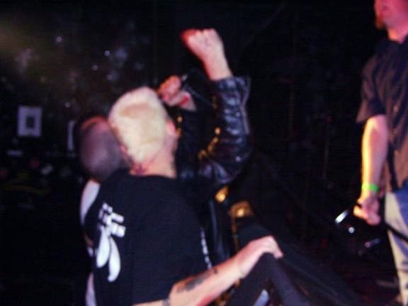 Connections photo 34