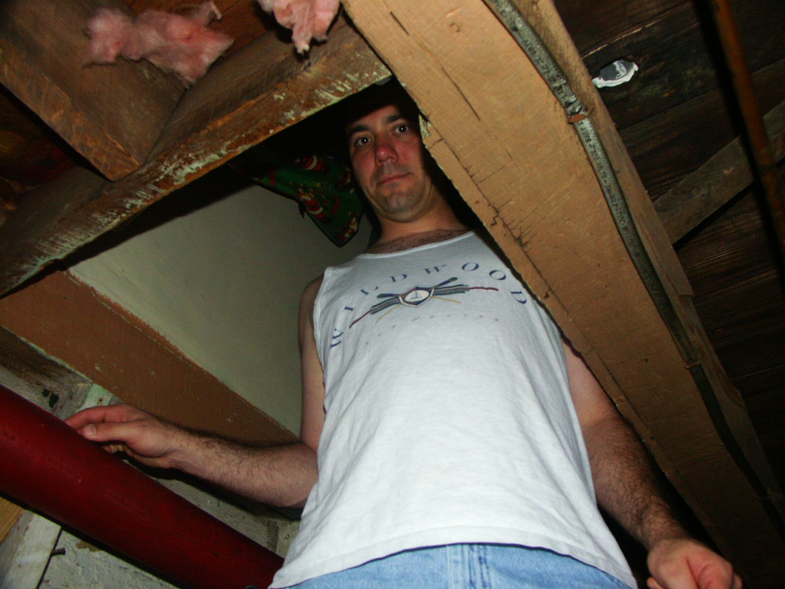 Recording "A Whales Tale" – July 12-13, 2008 photo 45