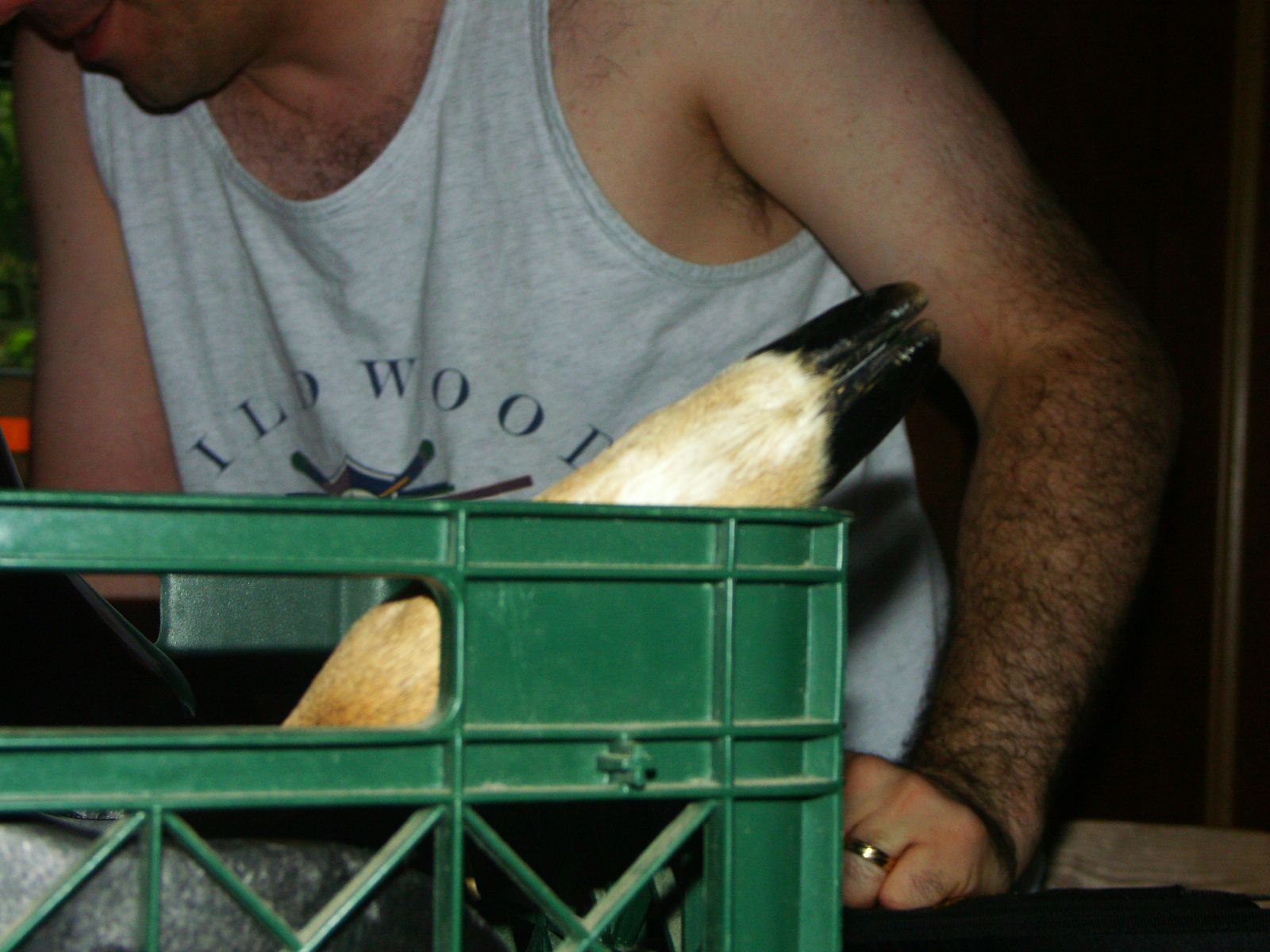 Recording "A Whales Tale" – July 12-13, 2008 photo 48